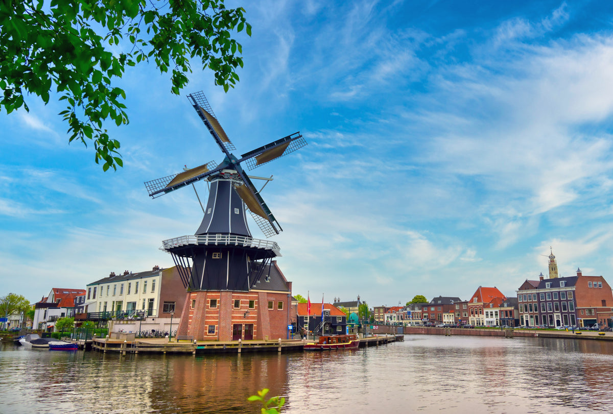 The Dutch Countryside